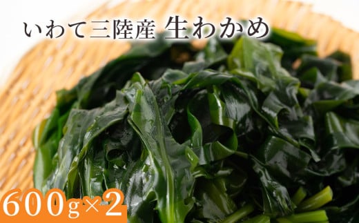 fc-39-013 ĎOY킩߁y2{3{͂ցz }LC`X茧Ύs15500ECŶEC
