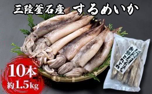 fc-64-002 三陸釜石産 するめいか 大容量パック! 10本 約1.5kg  阪神低温岩手県釜石市14000魚介・海産物イカ・タコ・ウニ