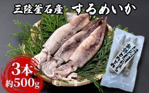fc-64-001 三陸釜石産 するめいか 小分けサイズ 3本パック 約500g   阪神低温岩手県釜石市7500魚介・海産物イカ・タコ・ウニ