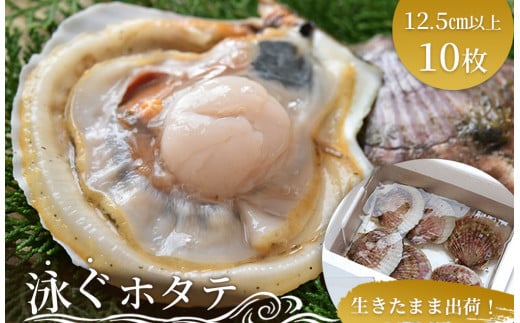 fc-39-024 泳ぐホタテ 特大10枚 ヤマキイチ商店岩手県釜石市29000魚介・海産物貝類