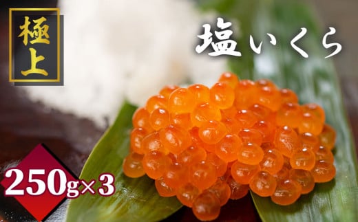 fc-21-011 「極上」 塩いくら 250g ×3 いわて潮風堂 TRS食品岩手県釜石市64000魚介・海産物いくら