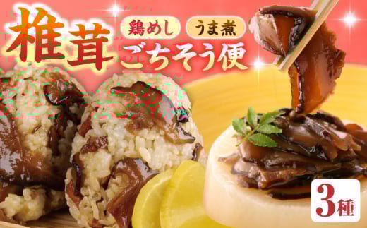 yőցz {߂̑f 150g×4E܎ 100g×1 cs / LЃ}iJt[Y@{ Ƃ ͂[ARAG004]啪cs16000ZbgE؁EHHi