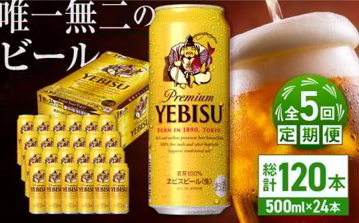 yS5ցzTb| rXr[ 500ml×24ʁ@v120 cs / ЈX@r[ Tb|   c[ARDC059]啪cs108500EAR[r[EA