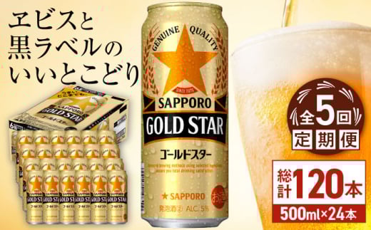 yS5ցzTb| GOLD STAR 500ml×24 v120 cs / ЈX@r[ Tb|   c[ARDC124]啪cs89000EAR[r[EA