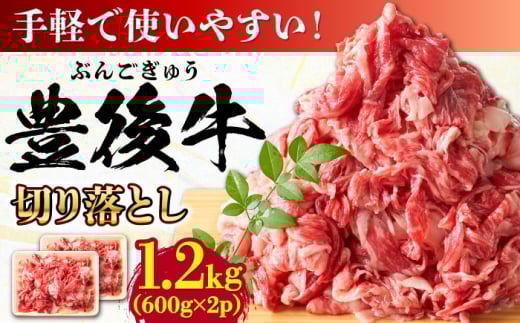 yeʃpbNIz L㋍  ؂藎Ƃ 1.2kg (600g×2) cs / MEAT PLUS  L㋍  L㋍ јa Ԑg ؂ ؂藎Ƃ a [AREI004]啪cs