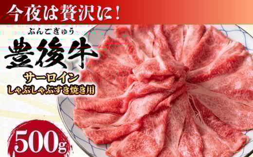 yIʁzL㋍ T[C ԂԂĂp 500g cs / MEAT PLUS L㋍  L㋍ јa XCX ԂԂĂ Ԃ 