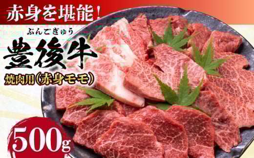 L㋍ Ԑg ēp 500g cs / MEAT PLUS  L㋍  L㋍ јa Y Ԑg   ē ēp a [AREI019]啪cs11500