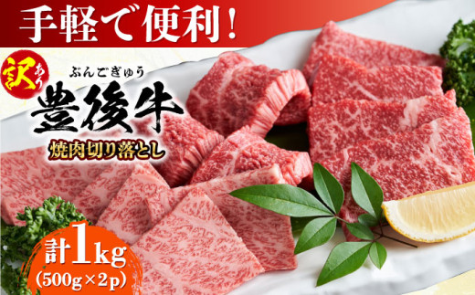 y󂠂zL㋍ ē ؂藎Ƃ 1kg(500g×2P) cs / MEAT PLUS 󂠂  L㋍  L㋍ јa Y  ē ēp [AREI033]啪cs20000