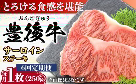 yS6ցzL㋍ T[CXe[L 250g (250g×1) cs / MEAT PLUS  L㋍  L㋍ јa T[C T[CXe[L Xe[L Y