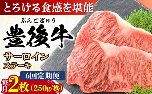 yS6ցzL㋍ T[CXe[L 500g (250g×2) cs / MEAT PLUS  L㋍  L㋍ јa T[C T[CXe[L Xe[L Y