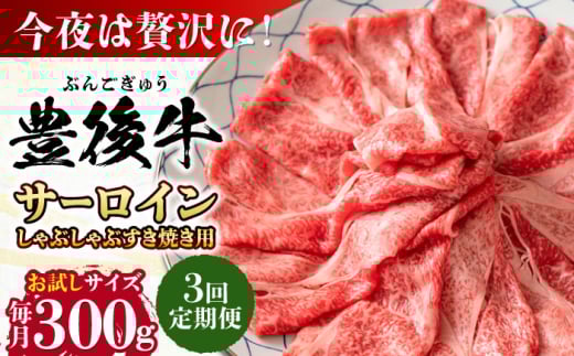 yS3ցzyIʁzL㋍ T[C ԂԂĂp 300g cs / MEAT PLUS L㋍  L㋍ јa XCX ԂԂĂ