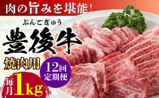 yS12ցzL㋍ ēp 1kg(500g×2P) cs / MEAT PLUS  L㋍  L㋍ јa Y  ē ēp [AREI103]啪cs264000