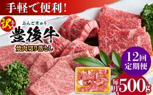yS12ցzy󂠂zL㋍ ē ؂藎Ƃ 500g cs / MEAT PLUS 󂠂  L㋍  L㋍ јa Y  ē ēp [AREI133]啪cs144000