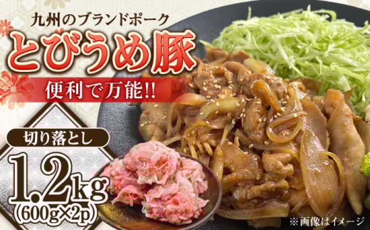 啪csY Ƃтߓ ؂藎Ƃ 1.2kg cs / В×  @@pbN[ARCM004]啪cs15000ؓ