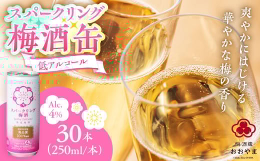 Xp[NO~ 1P[X(250ml×30{)@cs / ЂܖH[ ~ ~ Xp[NO [ARCW012]啪cs32000EAR[ECXL[EmEL[