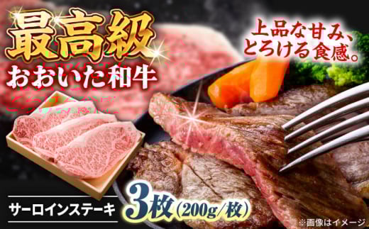 a T[CXe[L  v600g(200g×3) @cs / Ђ܂ЂŁ@ē  YXe[L [ARCG004]啪cs33000