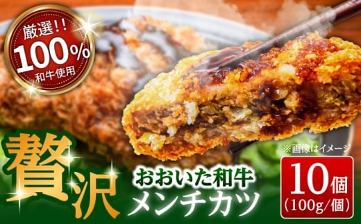 aґ򃁃`Jc(100g×10)@cs / ()g(fJ~[gg) a a `Jc [ARFE004]啪cs11000ZbgE؁EHHi