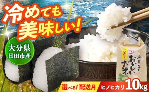 ys\E26N1ȍ~zߘa7NY啪YqmqJ 10kg      R  ͂ CX V Y okome cs / JAcO[Z^[ [ARDX017]啪