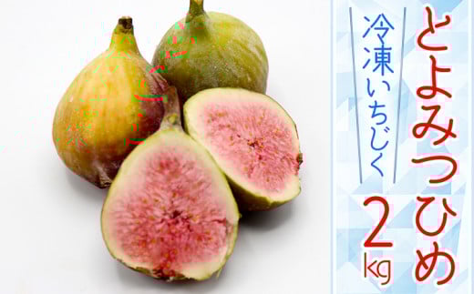 2J8 【福岡県産】冷凍とよみつひめ(イチジク) 2kg(1kg×2)福岡県東峰村14000果物・フルーツその他 果物・フルーツ
