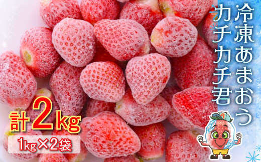 3S13 Ⓚ ܂ J`J`N (1kg×2)11000ʕEt[c