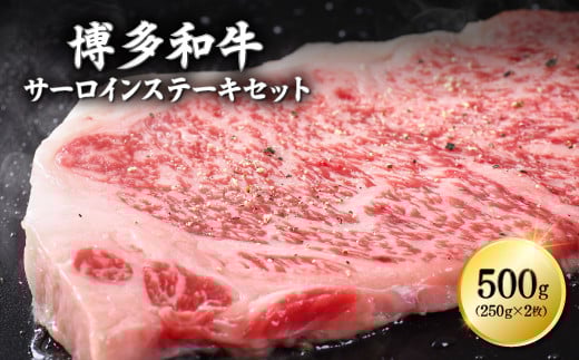 3G11-S1 博多和牛サーロインステーキセット 500g(250g×2枚)福岡県東峰村18000肉牛肉