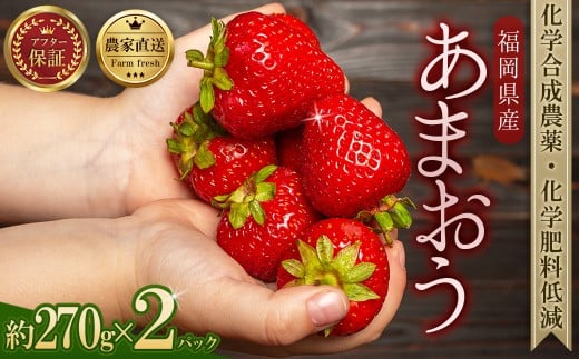 _ƒIʍ͔| ܂ 270g × 2pbN ӂ邳Ɣ[  C`S   ʕ  t[c W ɂ P[L ɂ s\ ʌ ӂ邳 LO lC 