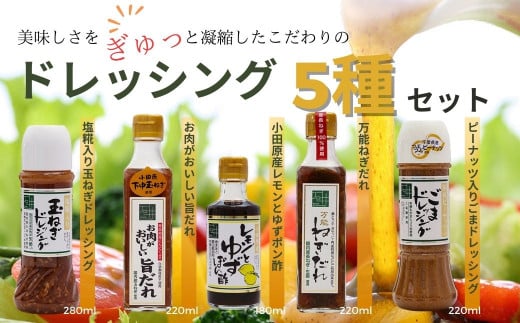 011-03地元食材をふんだんに使用したドレッシング5種セット (塩糀入り玉ねぎドレッシング・お肉がおいしい旨ダレ・レモンと柚子ぽん酢 ・ピーナッツ入りごまドレッシング ・万能ねぎだ