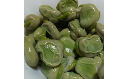 【 大好評(^^♪】”みずみずしくて食べやすい”とれたて そら豆(約1,000g)人数目安:1〜2名 食べきり  from 名水の里 秦野  そら豆 そらまめ ソラマメ 野菜 農作物 産地直送 農家直送