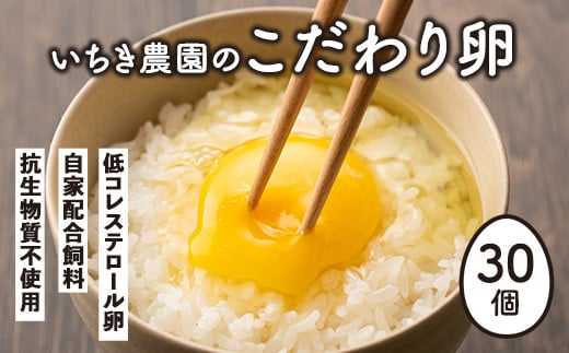 A0-07 いちき農園のこだわり卵(計30個・10個入り×3パック) ふるさと納税 伊佐市 特産品 平飼い 鶏 たまご 低コレステロール 抗生物質不使用 卵かけご飯 TKG【いちき農園】鹿児島県伊佐市11000卵