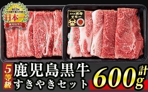 B0-10 (D-101)【5等級】鹿児島黒牛(カタローススライス・ウデスライス)すきやきセット(計600g) ふるさと納税 伊佐市 特産品 牛肉 牛 赤身 国産 すき焼き すきやき しゃぶしゃぶ 冷凍 冷凍便【JA北