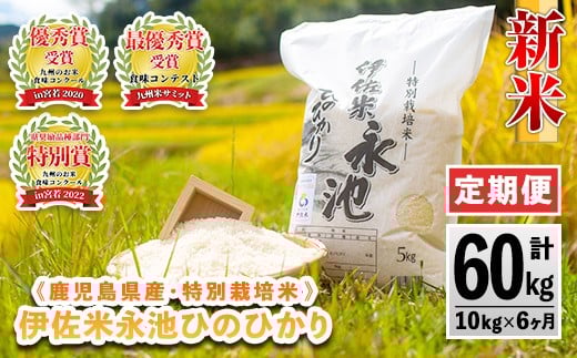 H4-01 【定期便】令和7年産 特別栽培米 伊佐米永池ひのひかり(計60kg・10kg×6ヶ月) 伊佐市 永池 お米 米 白米 精米 伊佐米 食味コンテスト 最優秀賞受賞 ヒノヒカリ 【エコファーム永池】鹿児島