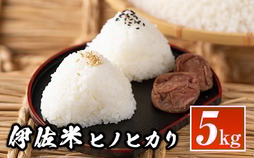 Z9-04 鹿児島県産!伊佐米ヒノヒカリ(5kg) ふるさと納税 伊佐市 特産品 ふるさと納税 伊佐市 特産品 薩摩 北の郷 特産品 お米 白米 精米 ひのひかり【神薗商店】鹿児島県伊佐市16000米・パン白