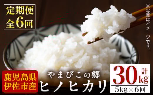 E0-03 【定期便6回】特別栽培ヒノヒカリ(計30kg・毎月5kg×6ヶ月)ふるさと納税 伊佐市 特産品 白米 精米 ひのひかり【やまびこの郷】鹿児島県伊佐市90000米・パン白米