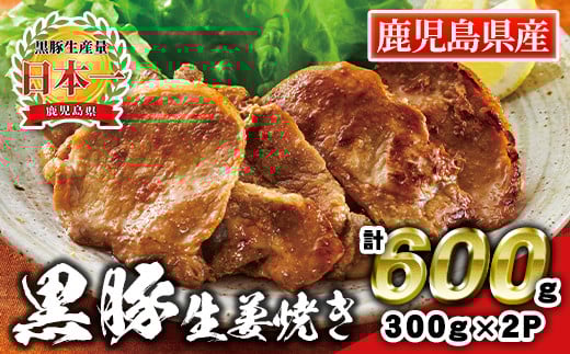 A0-43 鹿児島県産  黒豚生姜焼き(計600g・300g×2パック) 黒豚 豚 ぶた 肉 ロース 生姜 味付 惣菜 夕飯 おかず 焼くだけ 簡単調理 冷凍 【財宝】鹿児島県伊佐市8000肉豚肉