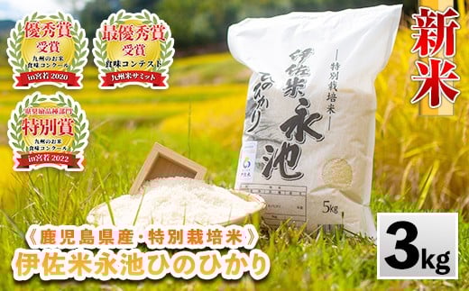 Z5-10 《数量限定》令和7年産 新米 特別栽培米 伊佐米永池ひのひかり(3kg) 伊佐市 永池 特産品 伊佐米 九州米サミット 食味コンテスト 最優秀賞受賞 ヒノヒカリ 3kg 【エコファーム永池】鹿児