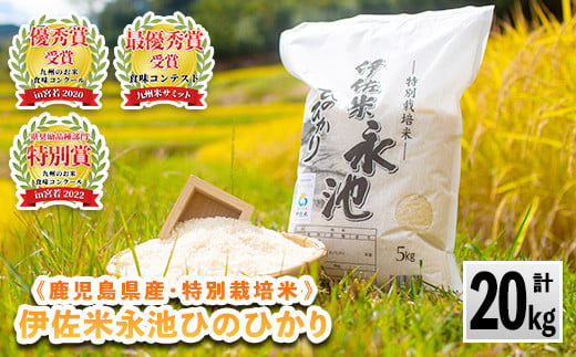 B8-05 令和6年産 特別栽培米 永池ひのひかり(計20kg・5kg×4袋) ふるさと納税 伊佐市 特産品 鹿児島 永池 お米 米 白米 精米 伊佐米 九州米サミット 食味コンテスト 最優秀賞受賞 ヒノヒカリ【エ
