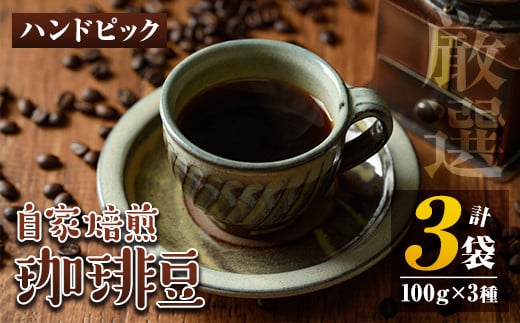 isa198 自家焙煎珈琲豆3袋(計300g・100g×3種)ふるさと納税 伊佐市 特産品 コーヒー coffee コーヒー豆 自家焙煎 ハンドピック 飲み比べ 飲料【工房ゆう】鹿児島県伊佐市11000お茶・飲料コーヒー・