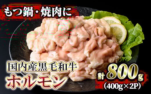 isa205 国内産黒毛和牛!ホルモン(計800g・400g×2P) ふるさと納税 伊佐市 特産品 国産 牛 和牛 大腸 小腸 赤センマイ ミックス 小分け 真空パック もつ鍋 焼肉 煮込み BBQ バーベキュー アウトドア