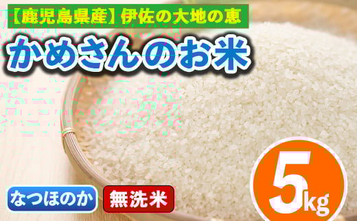 isa277 《数量限定》かめさんのお米(5kg・なつほのか・無洗米) ふるさと納税 伊佐市 特産品 国産 白米 精米  無洗米 伊佐米 お米 米 生産者 【Farm-K】鹿児島県伊佐市11000米・パン無洗米
