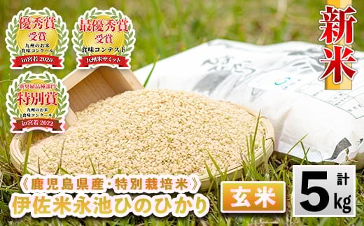 isa400 令和7年産 特別栽培米 永池ひのひかり玄米(5kg) 鹿児島 永池 お米 米 玄米 伊佐米 九州米サミット 食味コンテスト 最優秀賞受賞 ヒノヒカリ 【エコファーム永池】鹿児島県伊佐市13000米
