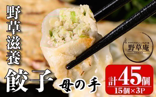 isa426 野草滋養餃子「母の手」(計45個・15個×3P) ふるさと納税 伊佐市 特産品 ギョーザ ぎょうざ 鹿児島 手作り ギョウザ 豚肉 冷凍食品 おかず おつまみ 惣菜 小分け 焼くだけ 簡単調理 冷凍