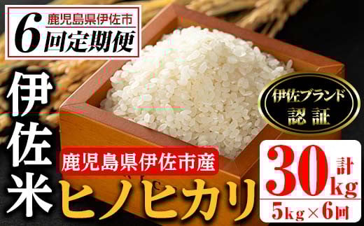 isa499 【定期便・全6回(連続)】伊佐米 ヒノヒカリ(計30kg・5kg×全6回) 鹿児島 国産 伊佐米 お米 米 こめ コメ ひのひかり 白米 精米 ごはん ご飯 定期便 新米【725】鹿児島県伊佐市90000米・パン白