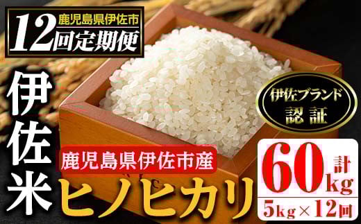 isa500 【定期便・全12回(連続)】伊佐米 ヒノヒカリ(計60kg・5kg×全12回) 鹿児島 国産 伊佐米 お米 米 こめ コメ ひのひかり 白米 精米 ごはん ご飯 定期便 新米【725】鹿児島県伊佐市180000米・パン