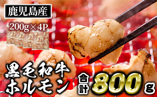 isa530 ≪毎月数量限定≫鹿児島産黒毛和牛ホルモン(合計800g・200g×4P) 国産 牛 和牛 小腸 小分け 真空パック もつ鍋 焼肉 煮込み BBQ バーベキュー アウトドア 冷凍 冷凍便【財宝】鹿児島県伊佐