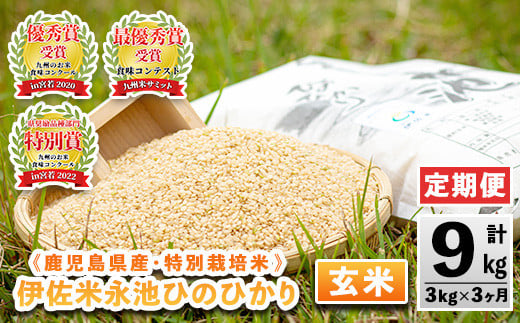isa536 【定期便】令和6年産 特別栽培米 永池ひのひかり玄米(計9kg・3kg×3ヶ月) 鹿児島 永池 お米 米 玄米 伊佐米 九州米サミット 食味コンテスト 最優秀賞受賞 ヒノヒカリ【エコファーム永池