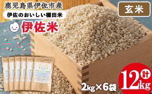 isa560 伊佐のおいしい棚田米〈玄米〉 ヒノヒカリ(計12kg・2kg×6袋)国産 精米 伊佐米 お米 米 ごはん ご飯 ひのひかり【薩摩美食倶楽部】鹿児島県伊佐市27000米・パン玄米・雑穀米・もち米・餅