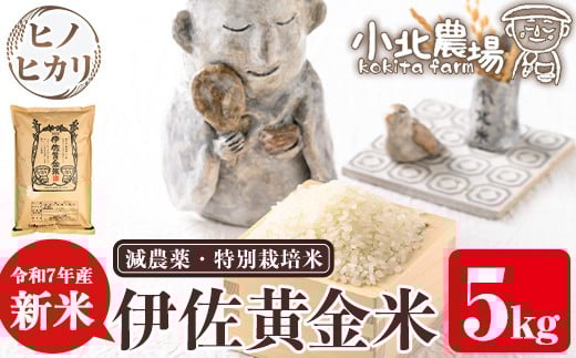 isa599 《数量限定》令和7年産 小北農場の新米 伊佐黄金米〈ヒノヒカリ〉(5kg) 鹿児島 伊佐 新米 お米 特別栽培米 伊佐米 白米 ヒノヒカリ ひのひかり おにぎり ごはん 【小北農場】鹿児島県伊