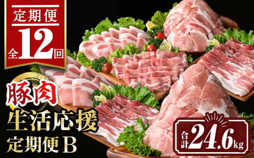 isa648 【定期便12回】豚肉生活応援定期便B(合計24.6kg) 国産 切り落とし バラスライス 肩ロース ロース しゃぶしゃぶ 生姜焼き 真空包装 真空パック 小分け ぶたにく 豚 肉 詰合せ 詰め合わせ