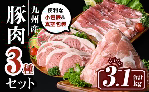 isa661 小分け・真空パック!九州産豚肉3種セット(合計3.1kg) バラスライス ロース とんかつ 生姜焼き 真空包装 真空パック 小分け ぶたにく 豚 肉 詰合せ 詰め合わせ 食べ比べ 冷凍 【サンキョ