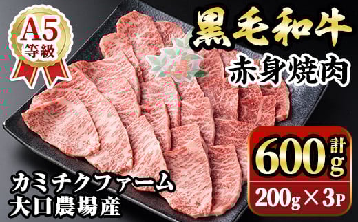 isa691 鹿児島県(カミチクファーム 大口農場)産 黒毛和牛赤身焼肉(計600g・200g×3パック) 黒毛和牛 赤身 焼肉 和牛 国産牛 高級肉 A5 ランク 雌牛 牛肉 焼肉用 BBQ バーベキュー アウトドア キャン